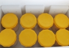 生物安全运输箱（标本运输箱）60L
